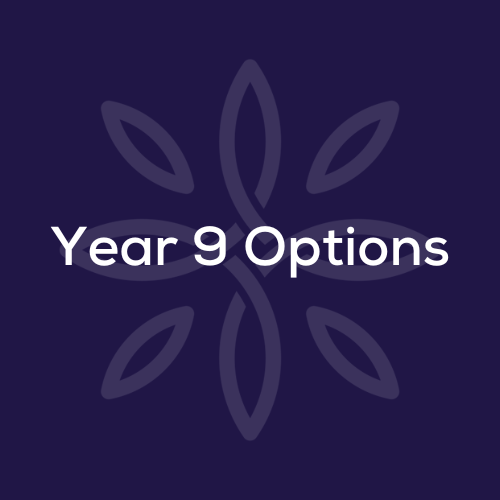 Year 9 Options